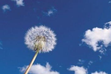 �µ�һ��˵˵����