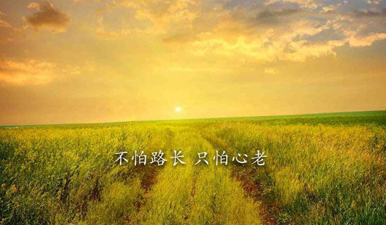 �������ӵ��׶Բ�����������