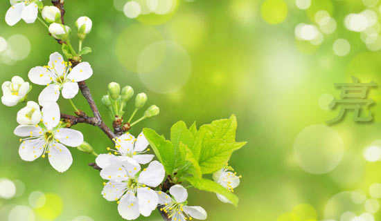 ���۾�ͯ������