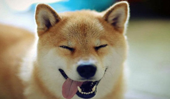 �������΢Ц��һ����