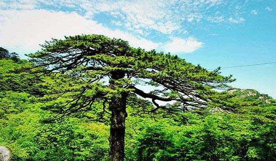 ��������������