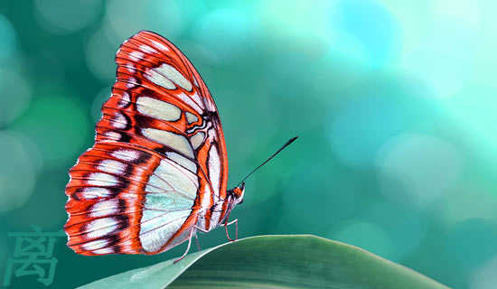 �뿪�Ϸ�ʫ��