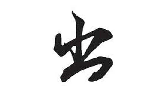 ���⳵˾��������Ҫ��