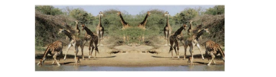 2015���Ϻ����п�Ӣ���Ծ����𰸣����ְ棩