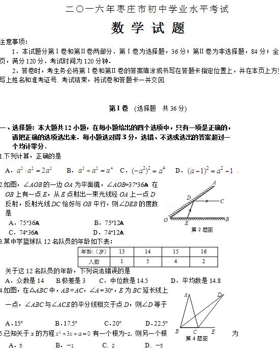 2016��ɽ����ׯ�п���ѧ���⼰�𰸣�word�棩