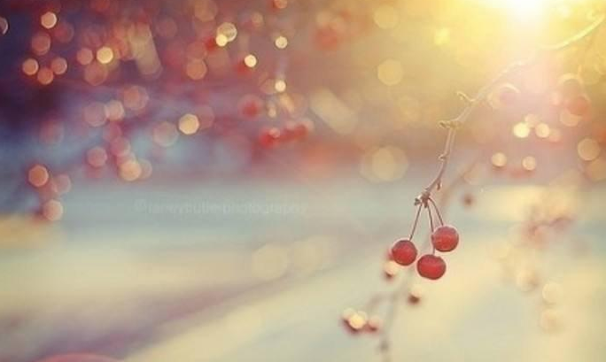 ���������˸и���˵˵