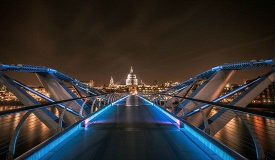 听蛙的感悟生活故事