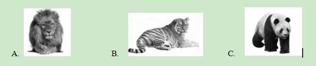 2018�갲��ʡ�п�Ӣ�����⼰�𰸣����ְ棩