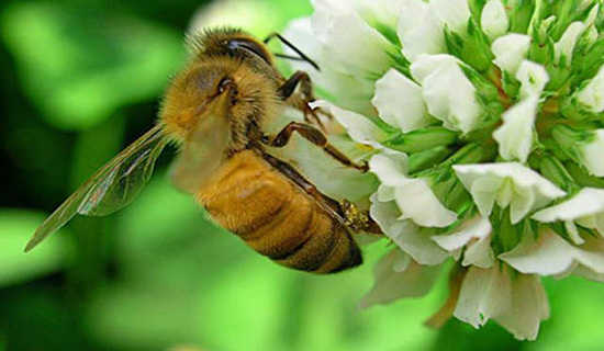 �������ͯԢ�Թ���