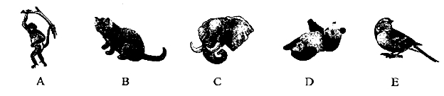 2016�����п�Ӣ�����⼰�𰸽��������ְ棩