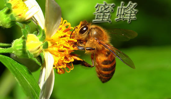 С�۷������¾����ͯ����