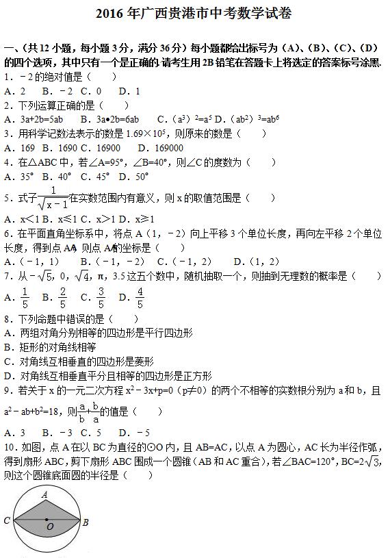 2016���������п���ѧ���⼰�𰸣�word�棩