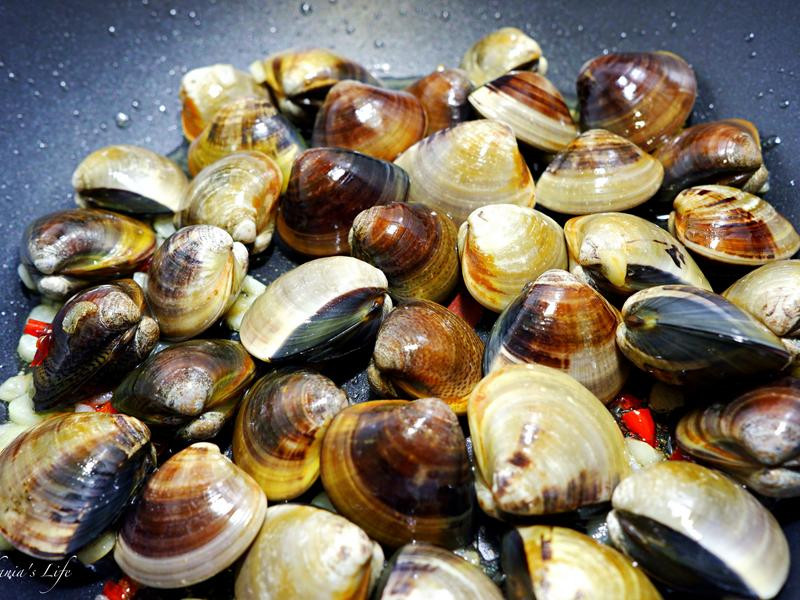 ��������«��������������