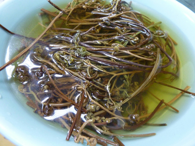 ������ʽ����������ţ���������