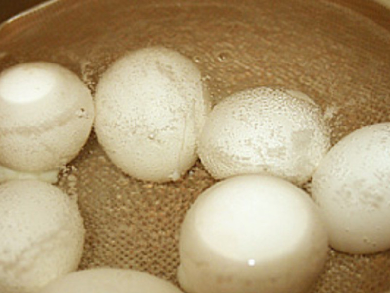 ������ɳ������¶¶��???��������