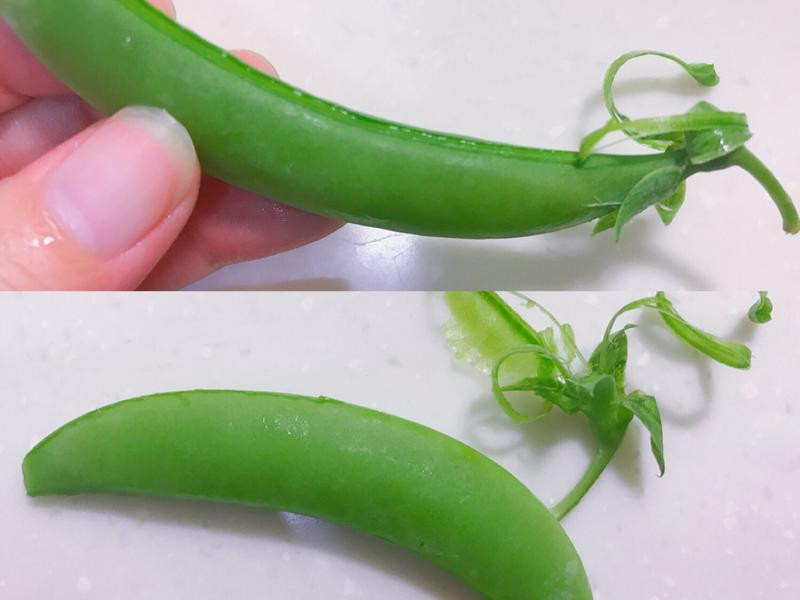 �𶹳�ľ��������