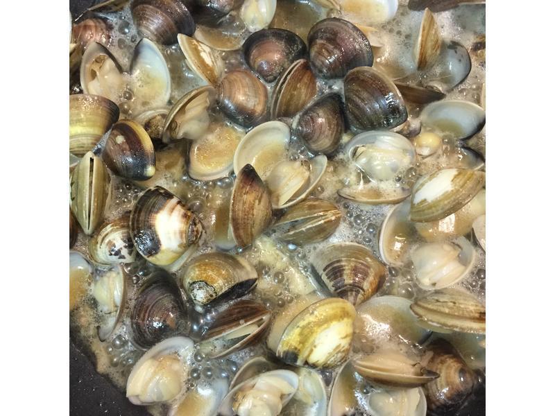 10����~���ó��������