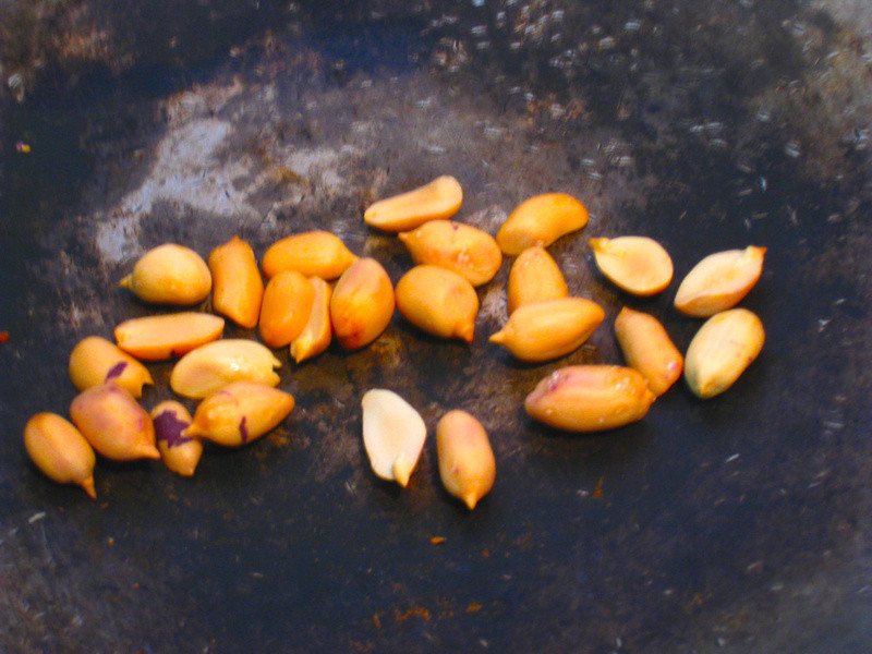 [��ͥ����] ������ȵ�����