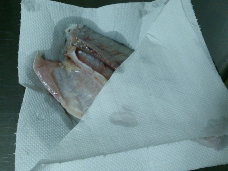 ����ը��-һҹ�ɵ�����