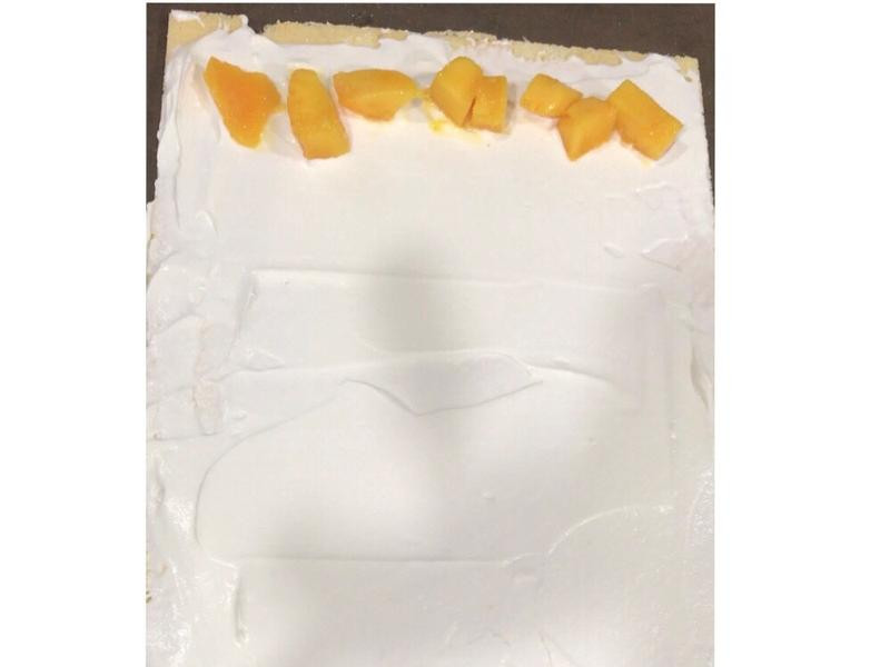 ����â�������������