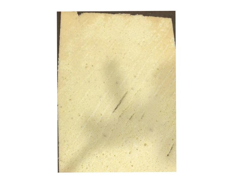 ����â�������������