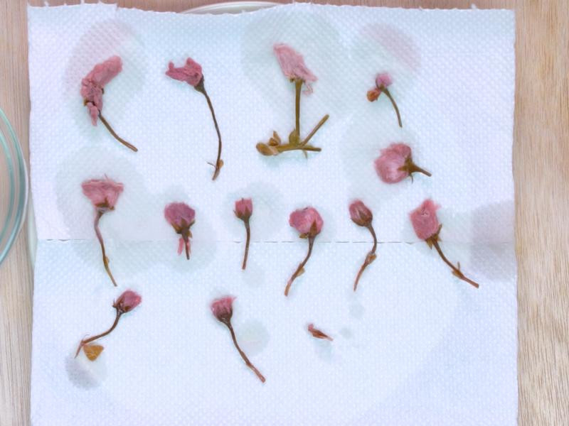 ӣ�������̶���������