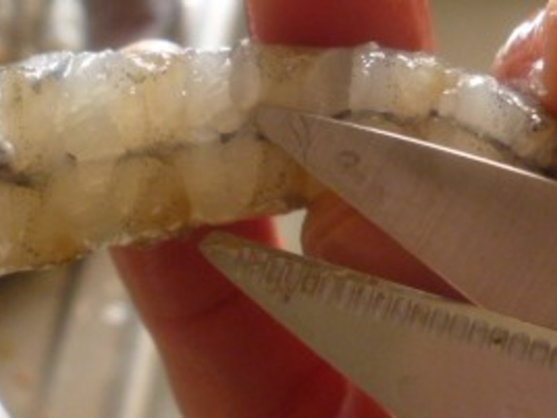 ��ʽը��βϺ������