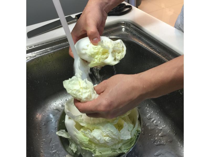 ����ʨ��ͷ����ҹʳ�è���ʳ�ҡ�������