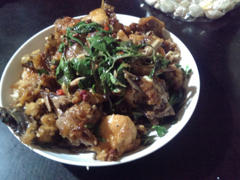 ��������-���鼦������