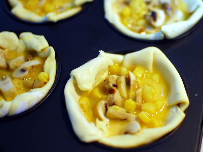 ����Ģ���������ɵ�����