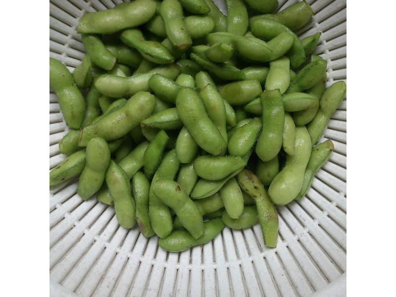 [�¾Ʋ�] ����ë��������