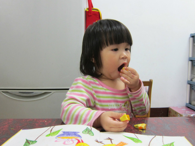 ���������������/ά�����ʡ�������ʲ����������