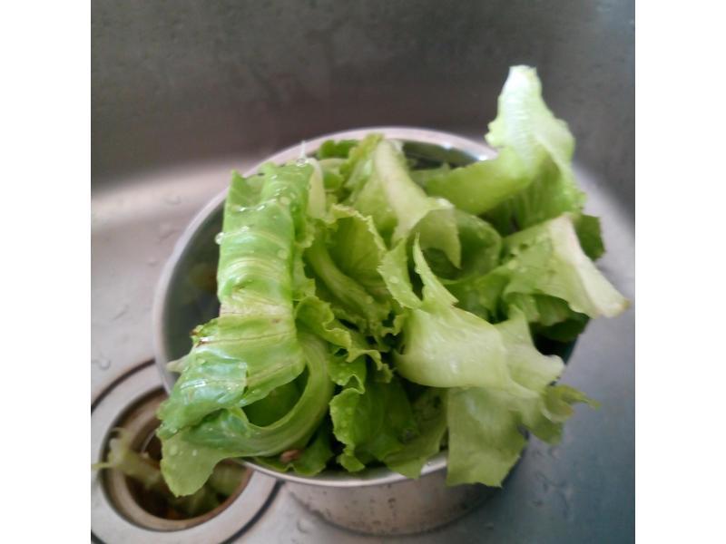 ����ʲ����ࡾBrother Max��������