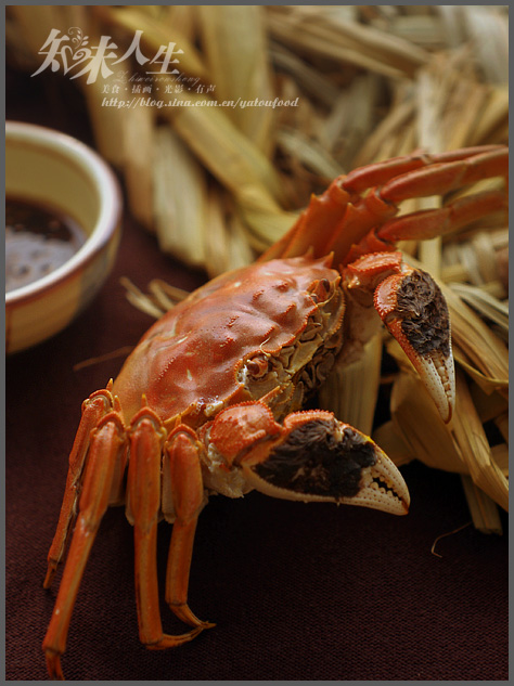 调一个让鲜美加倍的蟹醋的做法