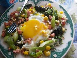 �ͷױ��ѵ�������