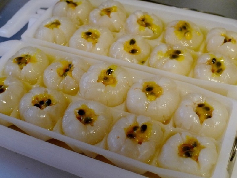 ��֦�ʹ�������ŵ��C���ݶ���������