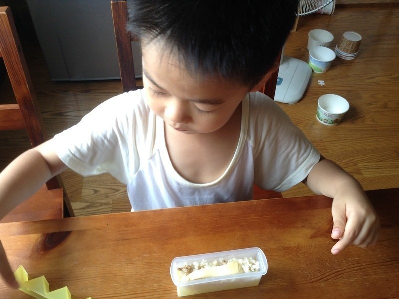 ���ӹ��ơ�Ȥζ��̦��˾���š�Ԫ��ɽ��̦��������