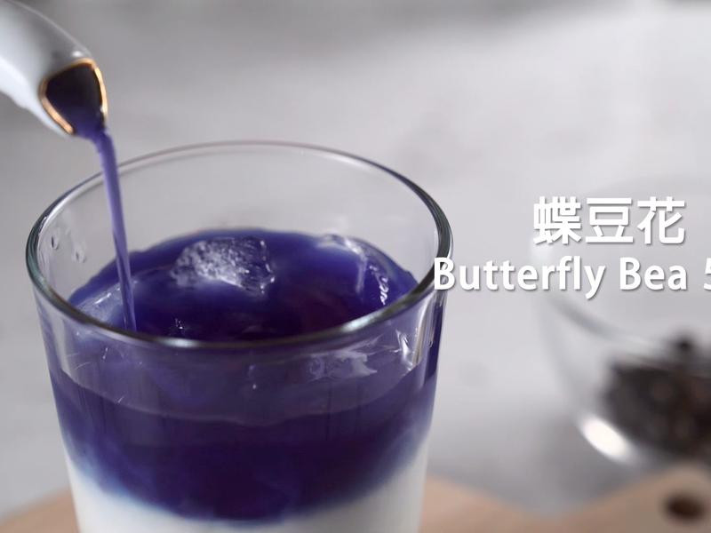 �λ�ѩ����������������