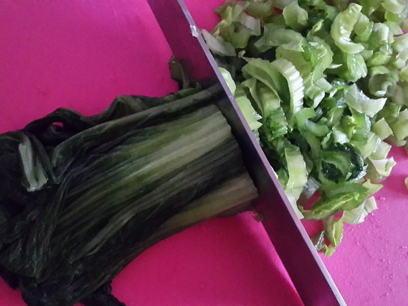 ����ѩ���ض���������