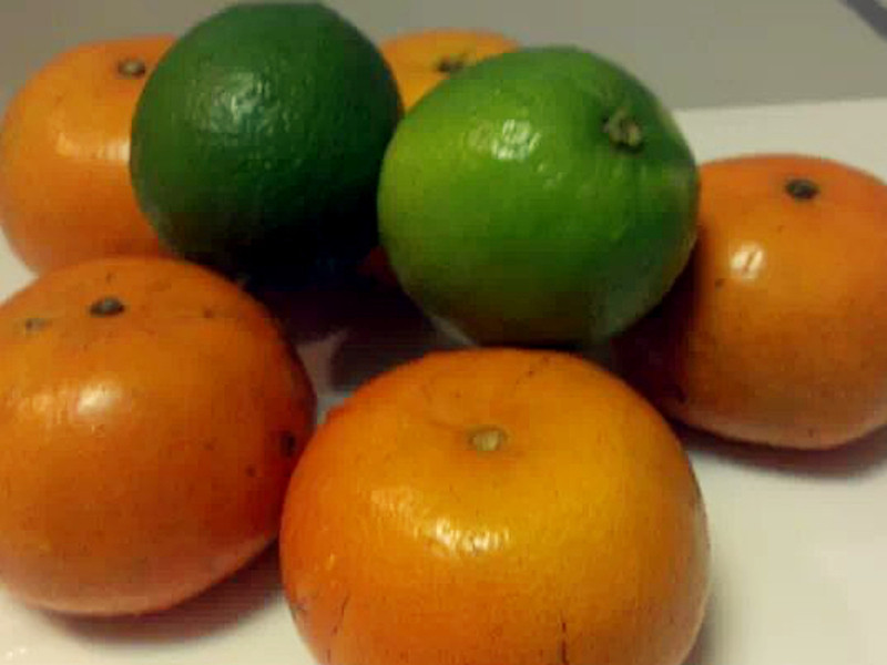 ��ʽ����ï�ȸ̹���������