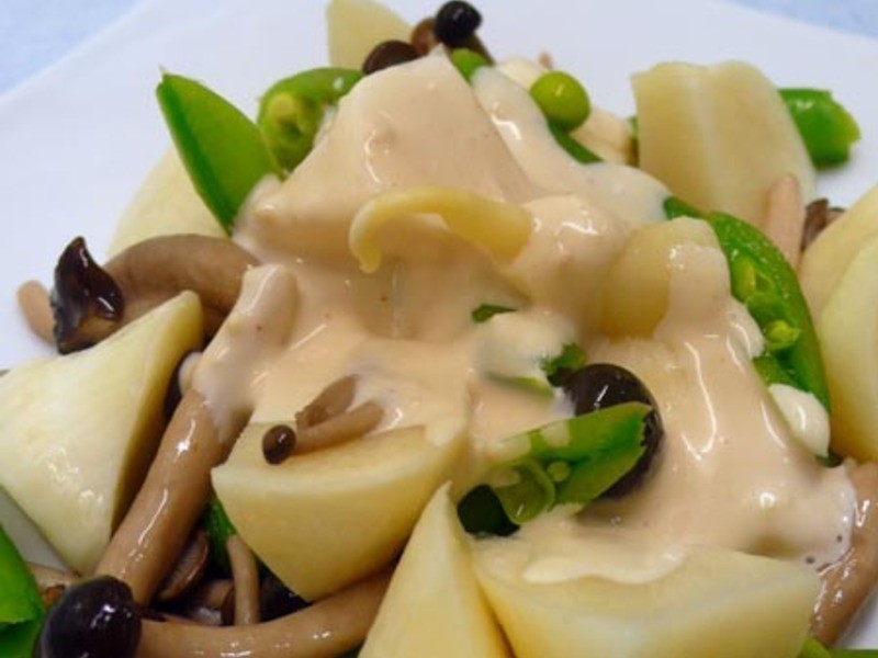 ���������̰��߲� ��������4��������