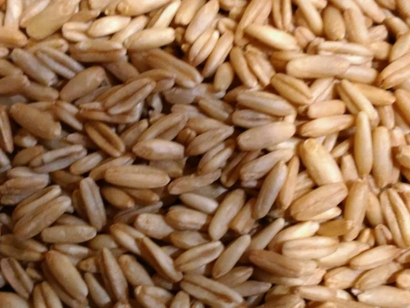 ������������������������