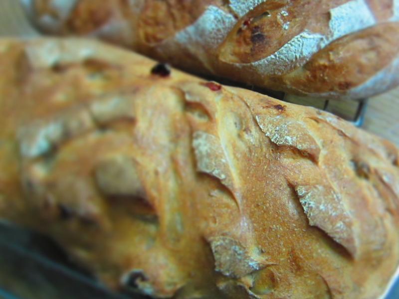 ެ�Ѻ����Ÿ����������