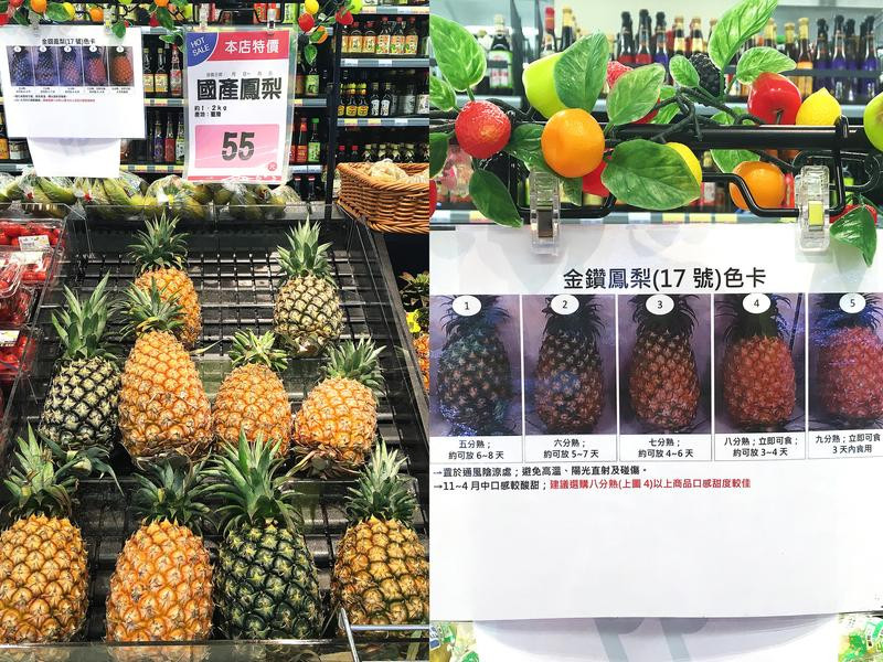 ����Ϻ�����������ŵ�����