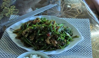 ˮ�۲˳����������