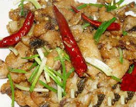 ������Ƭ������