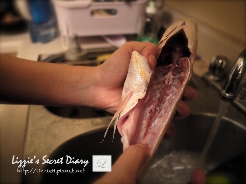 ���- �������ƻ��������