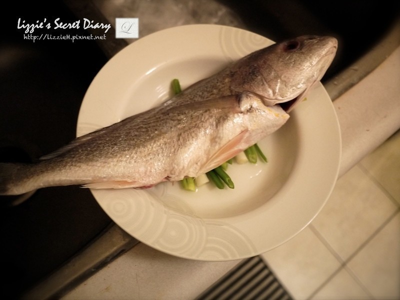 ���- �������ƻ��������