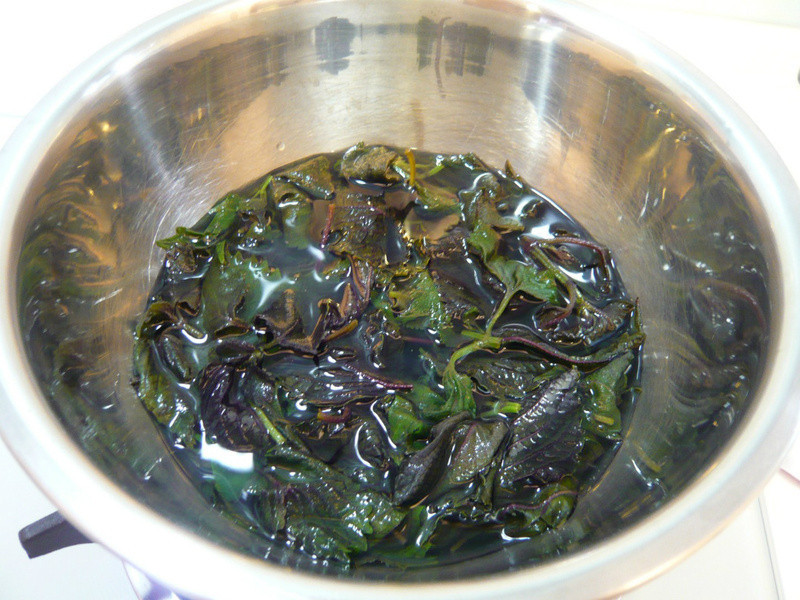 ������?�ۺ�������������