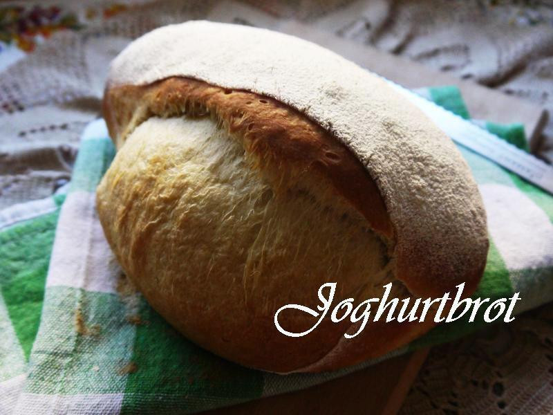 �Ÿ����������